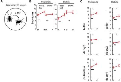 Genetic analysis of cryptochrome in insect magnetosensitivity